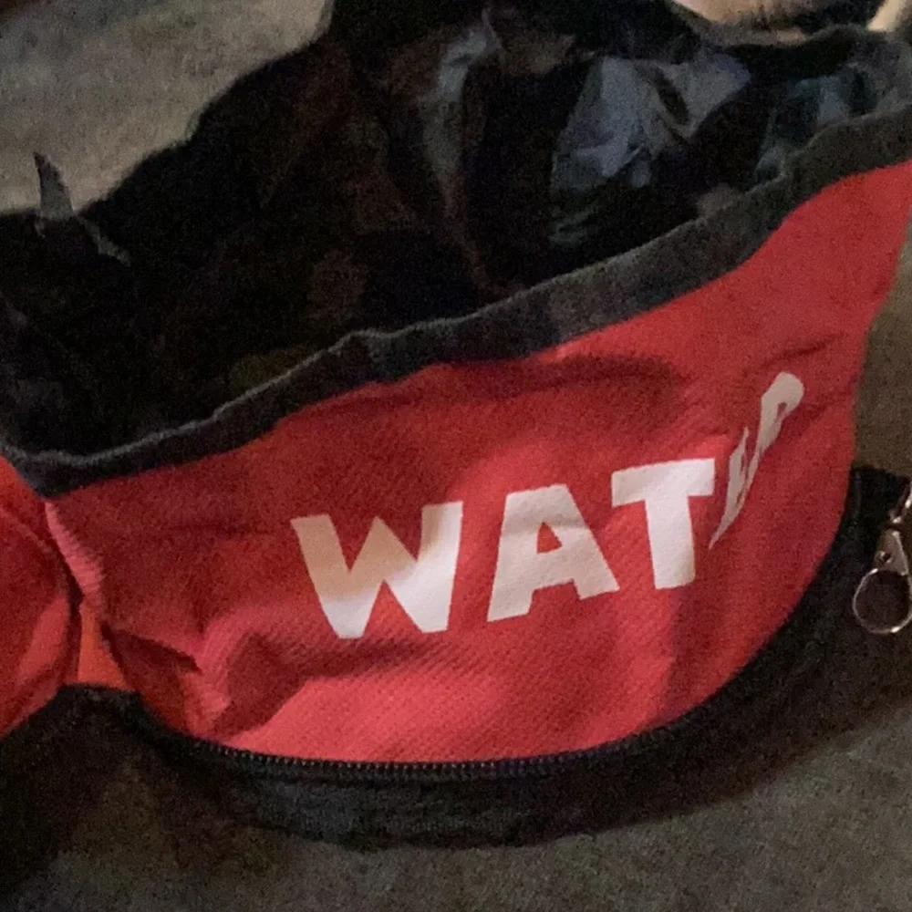 Portable food and water bowl